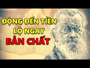 Khám Phá Tình Yêu Qua Trắc Nghiệm Mèo: Điều Gì Khiến Hôn Nhân Rạn Nứt